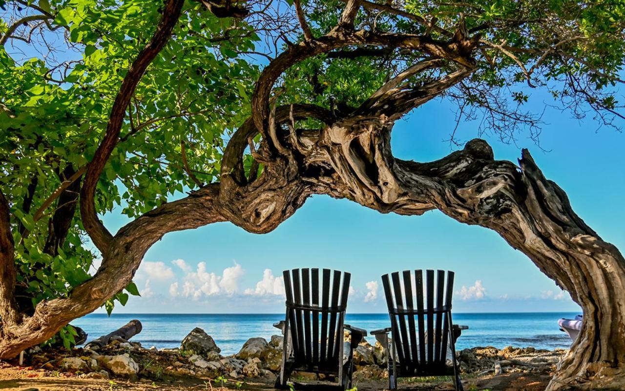 Jakes Hotel Treasure Beach Luaran gambar