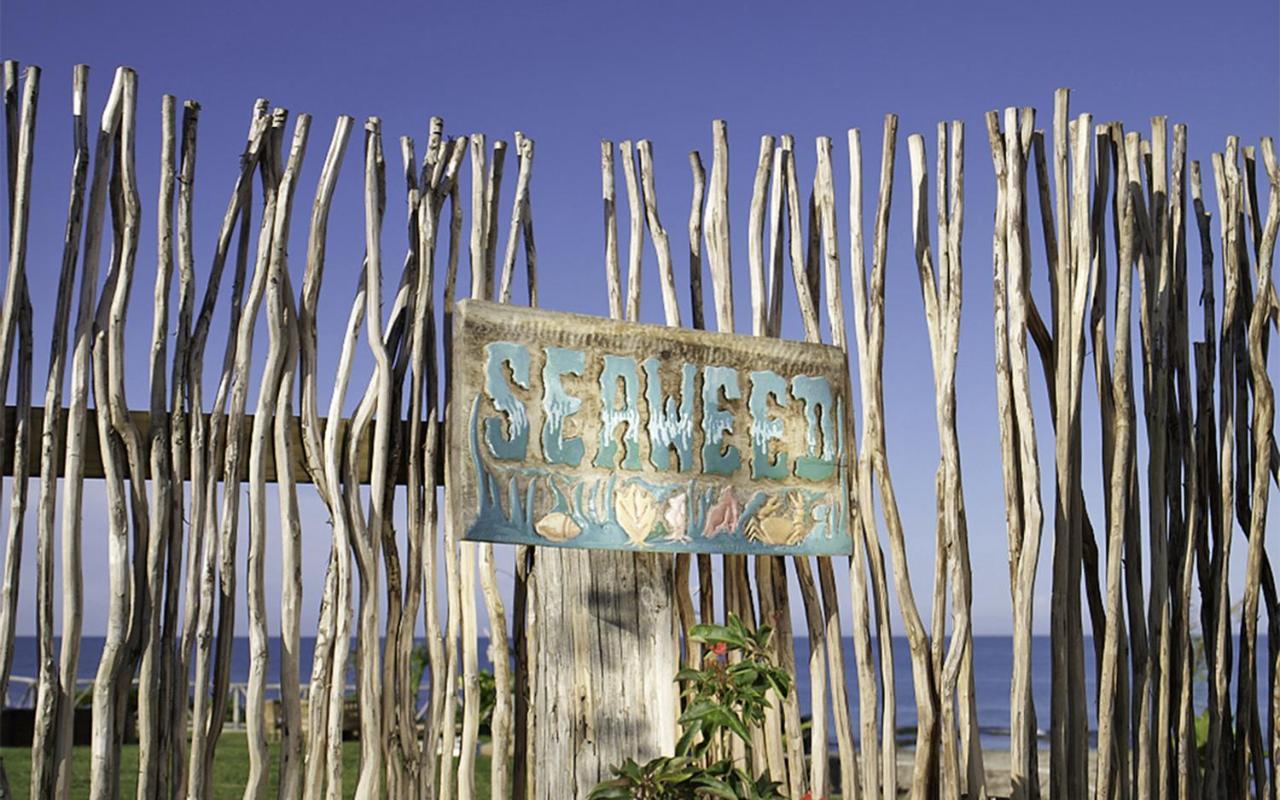 Jakes Hotel Treasure Beach Luaran gambar
